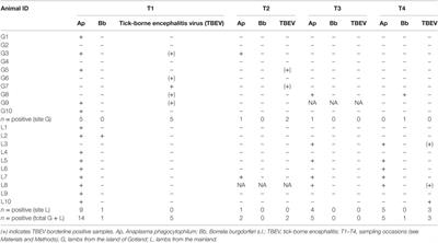 Detection of Tick-Borne Pathogens in Lambs Undergoing Prophylactic Treatment Against Ticks on Two Swedish Farms